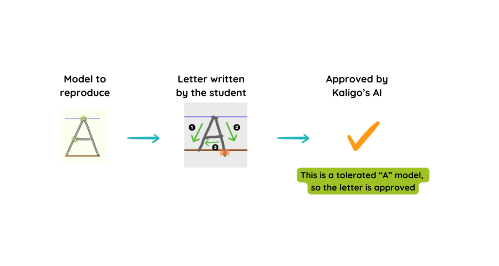 Kaligo's AI - tolerated model