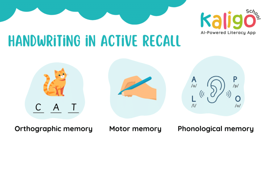 Infographic explaining how handwriting supports active recall through orthographic memory, motor memory, and phonological memory in early literacy education